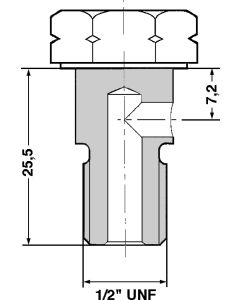 DELPHI BANJO BOLT 7111-308